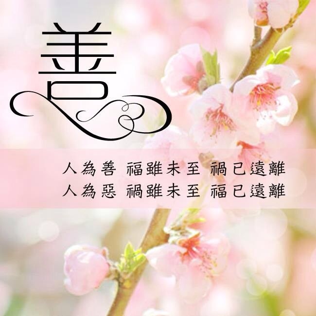 净空法师法语录