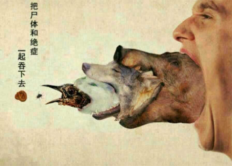 净空法师法语录