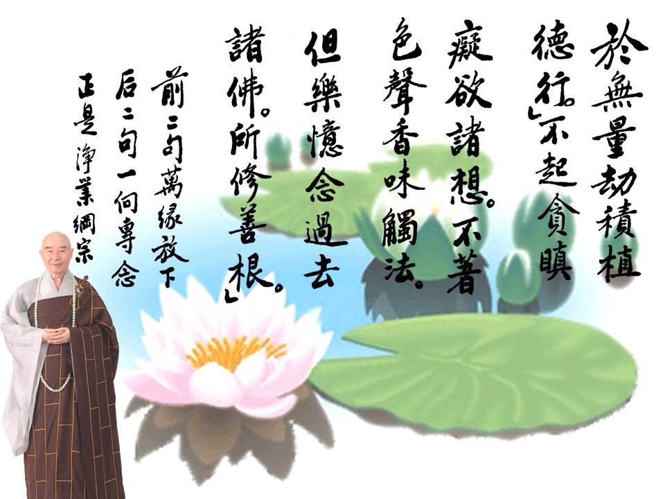 净空法师法语录