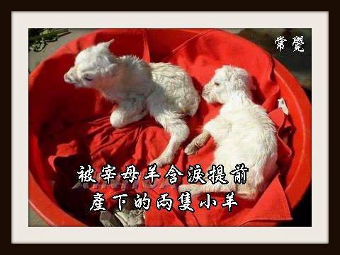 海涛法师弘法笔记