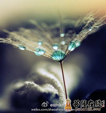 赵州茶馆