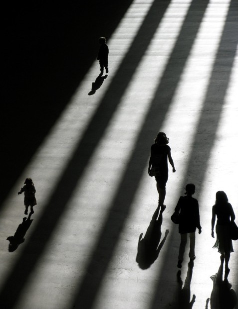 「因果者，犹形声与影响耳。未有有形而无影，有声而无响者！」《印光法师文钞》·纪文达公笔记摘要序