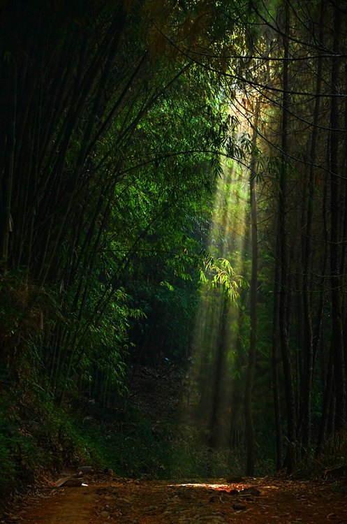 「谁不欲趋吉而避凶，免祸而获福乎？不知因果，多有外彰善相，实则暗存恶心，以行恶事。意谓人既不知，有何妨碍。不知吾人之心，与天地鬼神，及诸佛菩萨之心，息息相通。我心随起一念，彼则无不了知。故曰：“人间私语，天闻若雷。暗室亏心，神目如电！“」《印光法师文钞》·护国救民正本清源论