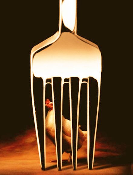 「发心菩萨，见诸众生，在锋刃之下，此也啼唤哀哀，彼也血声咯咯。当发大誓愿，愿我早成佛道，使十方一切众生，凡受刀兵之苦者，尽行度脱，得无量寿，耳中不闻生死之名！」《安士全书》·万善先资集卷四