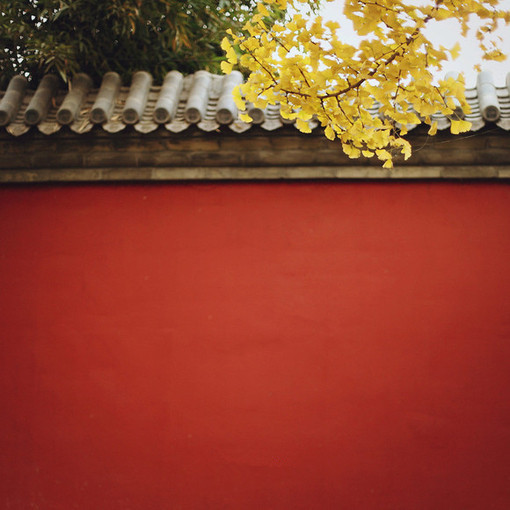 「出世丈夫，以佛祖自期，以四弘为券，以六度万行为家常茶饭，以自利利他为的。发一言，不足自利利他，勿言也！举一步，作一念，不足自利利他，勿举也，勿念也！」《寒笳集》