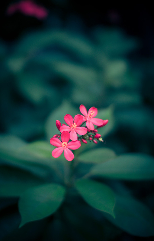 「心术以光明笃实为第一，容貌以正大老成为第一，言语以简重真切为第一。平生无一事可瞒人，此是大快！」《格言别录》