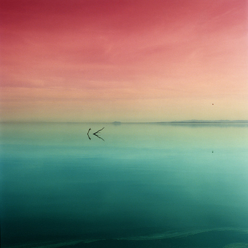 「持身不可太皎洁，一切污辱垢秽要茹纳得。处世不可太分明，一切贤愚好丑要包容得！」《格言别录》