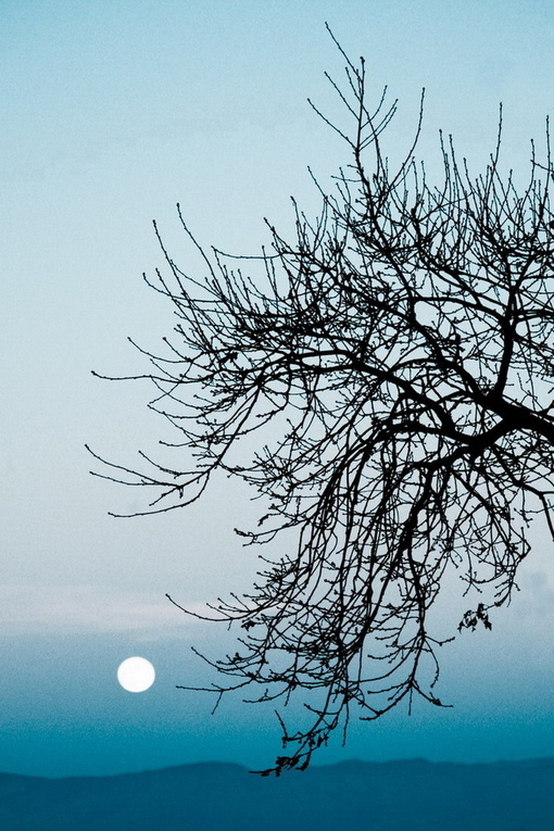 「以淡字交友，以聋字止谤，以刻字责己，以弱字御侮。」《格言别录》