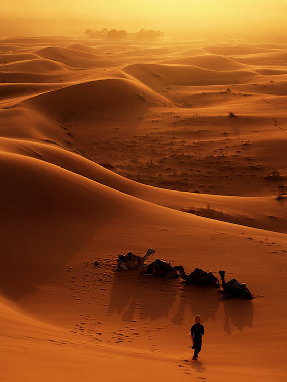 「不杀生、不偷盗、不邪淫、不妄言、不绮语、不两舌、不恶口、不悭贪、不瞋恚、不邪见。此中前三名身业。中四名口业。后三名意业。若持而不犯，则为十善。若犯而不持，则为十恶。善因感善果，恶因感恶果。决定无疑，丝毫不错！」辑录《印光法师文钞》·复杨树枝居士书