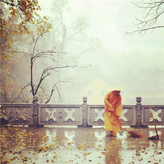 劳动原是人类本分上的事，不惟我们要练习劳动。佛陀释迦牟尼，在平常人想起来，在世时，总以为同现在的方丈和尚一样，有侍者师常常侍候，佛自己不必做什么。但其实是不然，有一天，佛看到地下不很清洁，自己就拿起扫帚来扫地！—— 辑录《青年佛教徒应该注意的四项》·弘一大师开示