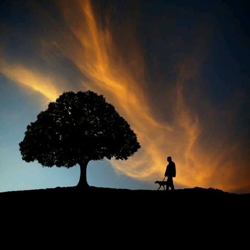 【持戒】不用说修行到菩萨或佛的地位，就是想来生再做人，最低的限度，也要能持五戒。可惜现在受戒的人虽多，只是挂个名而已，切实能持戒的却很少。要知道受戒之后，若不持戒，所犯的罪，比不受戒的人要加倍的大，所以我时常劝人不要随便受戒！—— 辑录《青年佛教徒应该注意的四项》·弘一大师开示