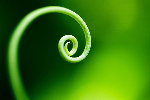 「觉人之诈，不形于言；受人之侮，不动于色。此中有无穷意味，亦有无限受用。」《格言别录》