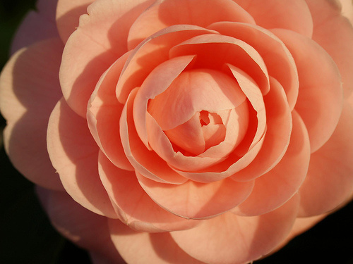 「物忌全胜，事忌全美，人忌全盛。」《格言别录》