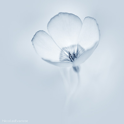 「穷天下之辩者，不在辩而在讷。伏天下之勇者，不在勇而在怯。」《格言别录》