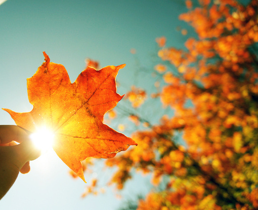 【改过之改】省察以后，若知是过，即力改之。诸君应知改过之事，乃是十分光明磊落，足以表示伟大之人格。故子贡云：“君子之过也，如日月之食焉。过也人皆见之，更也人皆仰之。”又古人云：“过而能知，可以谓明。知而能改，可以即圣。”诸君可不勉乎！——辑录《改过十训》·弘一大师开示