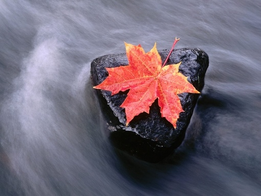「莫大之祸，皆起于须臾之不能忍，不可不谨。」《格言别录》