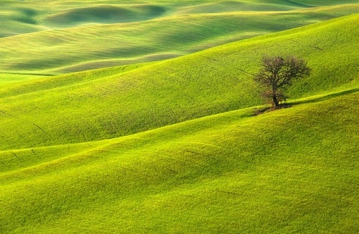 「造物所忌，曰刻曰巧。万类相感，以诚以忠。」《格言别录》