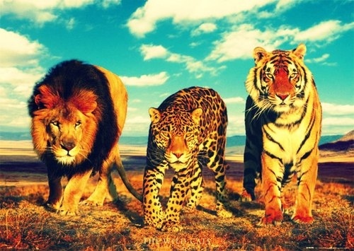 【夜叉恶鬼，不能侵犯。毒蛇饿虎，不能为害】悭贪丑行，为堕落鬼道之深因。嗔火无明，为降作毒虫之征兆。结怨多生，寻仇百劫。恶缘未熟，任尔逍遥。时会已来，凭谁解救。孽由自作，事非偶然。修士惕之。印造经像，豫行忏罪。于是纵有恶缘，悉皆消释！——辑录《印造经像之功德》·印光大师开示