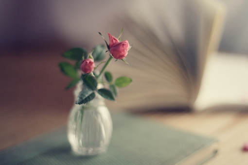 【心得安慰，日无险事，夜无恶梦，所作吉利。】尘世多众，十之七八，在惊忧疑闷懊怨痛苦中。吾人一生，十之七八，在惊忧疑闷懊怨痛苦中。况乎欲心难餍，有如深谷。无事自扰，不风亦波。身为苦本，佛法善灭诸苦本。彼印造经像者，诸障雪消，心安神怡！——辑录《印造经像之功德》·印光大师开示