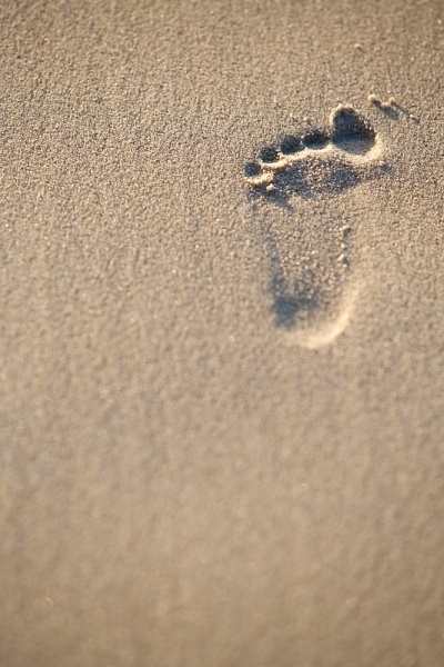 「孟子所说“修身以俟之”这句话，是指积德祈天之事。说道“修”字，是说自身所犯的各种过失余罪恶，都应该痛下决心，像治病般地完全去除。谈到“俟”字，是说等到修身的功夫深了，命运自然就会转好；若有丝毫的妄想，一丝毫起起落落的念头，都必须完全斩除！」辑录《了凡四训本义直解》