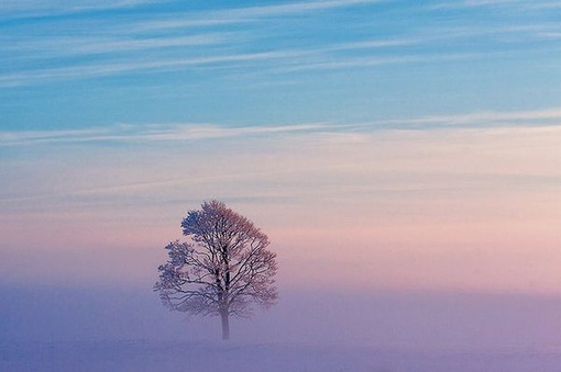 「一动于欲，欲迷则昏。一任乎气，气偏则戾。」《格言别录》