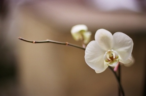 「务要日日知非，日日改过。一日不知非，即一日无步可进。天底下聪明才智优秀的人很多，他们之所以不能够修养德行，所行之事无法得到发展的原因，只是因为沿袭过去的习气不肯改变，让自己得过且过，以至于耽搁了他们的一生！」辑录《了凡四训本义直解》