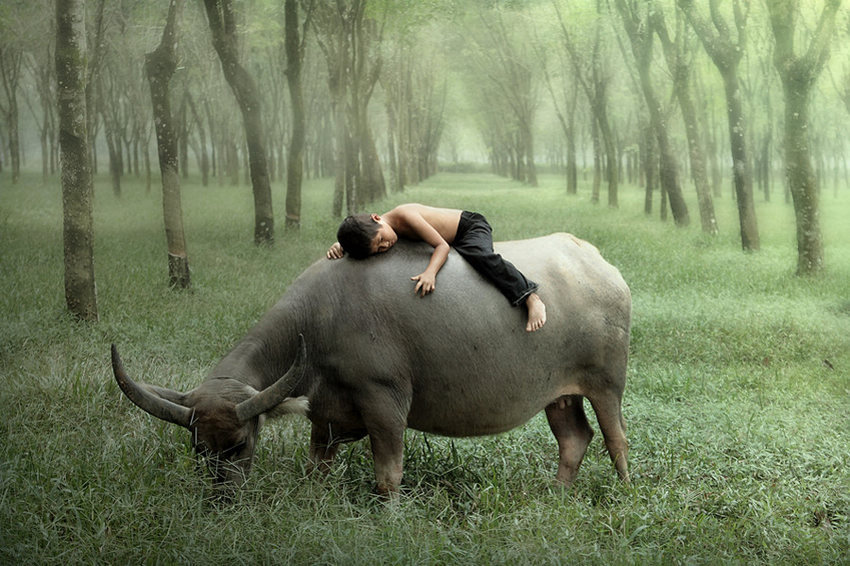 「大概说来，一个人在尚未发生事情之前，预先显露出的吉凶祸福现象，都是发自他的内心，后又表现于外在的行为。凡是待人处事比较稳重、厚道的人，常常能够获得福报；而行为不庄重、过分刻薄的人，常常会招致灾祸！」辑录《了凡四训本义直解》