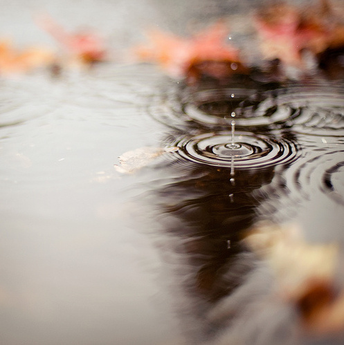 「我们现在所处的这个世间，一切都不是恒常不变；我们的肉体也是很容易死亡，只要一口气不来，呼吸停止了，这个肉身就不再归我所有。到了那个时候，就算想要改过，也没有办法了。还要在千百劫中，沉沦到地狱里受到折磨，纵然是遇到了圣贤佛菩萨，也无法接引！」辑录《了凡四训本义直解》