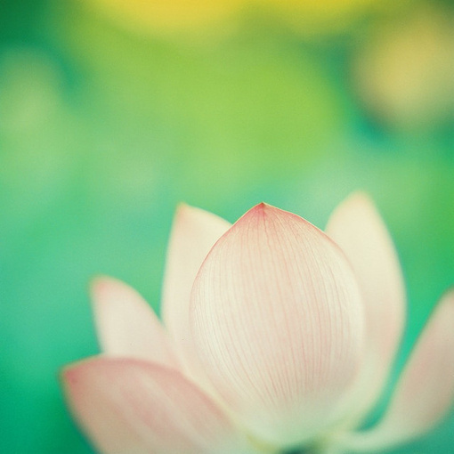 「世俗烦恼处，要耐得下。世事纷扰处，要闲得下。胸怀牵缠处，要割得下。境地浓艳处，要淡得下。意气忿怒处，要降得下！」《格言连璧》