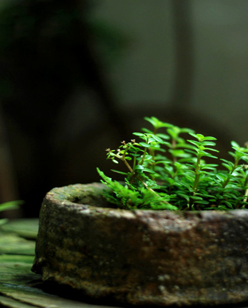 「富贵贫贱，总难称意，知足即为称意。山水花竹，无恒主人，得闲便是主人。」《格言联璧》