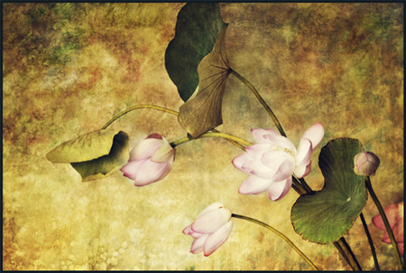 「十念一法，乃慈云忏主为国王大臣政事多端，无暇专修者设。又欲令其净心一心，故立尽一口气为一念之法。俾其心随气摄无从散乱。其法之妙，非智莫知。然只可晨朝一用，或朝暮并日中三用，再不可多，多则伤气受病。切不可谓此法最能摄心，令其常用则为害不小」辑录《印光法师文钞》·复丁福保居士书四