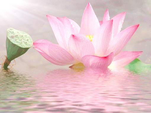 「骨肉恩情相爱，难期白首团圆。几多强壮亡身，更有婴孩命尽。劝念阿弥陀佛，七宝池中化生。聚会永无别离，万劫长生快乐。」辑录《净土诗韵》大慈菩萨劝念佛偈·释演莲辑