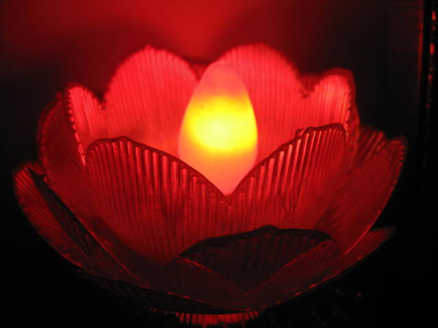 「民国江西刘开难，近弱冠，以佛为迷信，后梦读《华严合论》，叹不思议乃发心向佛，渐悟念佛切要，常嘱人求生净土。后抱病，家人礼佛求寿，开难呵之令改求佛接引，昏寐中有请做冥官有请升天，均拒之，预知往生，自诵经文安详而逝，顶温如生。居士不被业相转，可谓信愿坚定矣！」辑录《净土圣贤录三编》