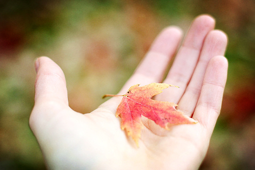 「劝母吃素念佛，求生西方之为究竟有益之孝。世间习俗为亲谋者，属皮毛上事，尚有加亲之罪，扳亲堕落（如临终预为揩身换衣。闲谈安慰及哭泣，并丧祭用酒肉等）。若佛弟子，犹狃于习俗，则是借此以博孝亲之名，实则破坏亲之出苦之路，成就亲之堕落之方。」辑录《印光法师文钞》·复李德明居士书