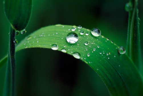 「第一觉悟：世间无常；国土危脆，四大苦空，五阴无我，生灭变异，虚伪无主，心是恶源，形为罪薮，如是观察，渐离生死。」辑录·《佛说八大人觉经》