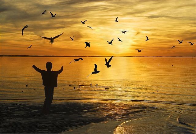 「君子之心事，天青日白，不可使人不知；君子之才华，玉韫珠藏，不可使人易知。」《菜根谭》·洪应明编