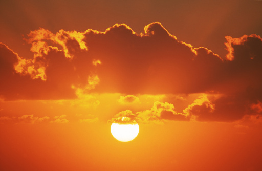 「元朝耶律文正公（耶律楚材），乃太祖（成吉思汗）军师，凭军机大权保人民无数。太祖好杀，公善劝谏能阻之。公淡泊名利，燕京城破时，诸将心恋财宝，公只取大黄数十担，不久瘟疫，便以大黄治命得效甚佳。公后代子孙拜相者达十三人之多，此亦不积私财而子孙发达之明证！」辑录《保富法》