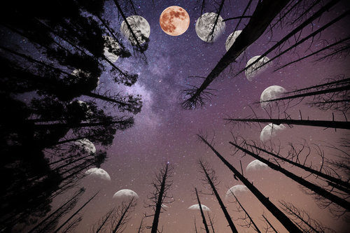 「1921年，谛闲法师一昼夜间，忽然两手麻木，两脚沉坠，竟难动弹！在给大师的信中说：闲知是果报之病，想是多生所作三途业因之报，非药所能治也！此番虽诸缘未曾尽放，而西归之志决矣！常念四大无常，身为苦本，倘能早一日往生，便是早一日离苦得乐也！」辑录《常惭愧僧印光法师的故事》·余池明著