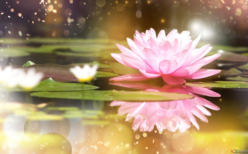 「宋朝的湖南潭州，有一个姓黄的人，以打铁为生，大家都叫他黄打铁。黄打铁每次打铁时，口里不停地称念阿弥陀佛佛号。如是功夫渐渐纯熟，往生前，黄打铁预知时至，口中颂曰：“叮叮当当，久炼成钢，太平将近，我往西方！”」辑录·《净土圣贤录白话》