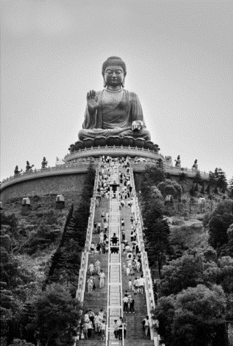 「生死事大，无常迅速，耳闻者之惊惧，远不如身历者之痛切也！当发大菩提心，以教家亲眷属、朋友故旧，及有缘者。佛力难思，佛恩难报，当生大庆幸，生大惭愧，生大净信！以净土一法，自行化他，与一切有缘者，同生西方！」辑录《印光法师文钞》·复刘智空居士书