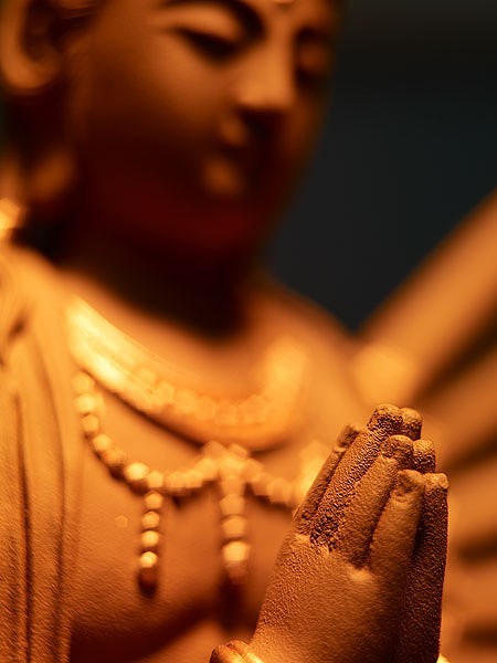 「末世众生，上根绝少。于是（世尊）特开净土法门，冀若圣若凡，同于现生成办道业。其修持之简便、利益之殊胜，一代时教，悉无有二。虽愚夫愚妇，能依教修持，亦得现生超凡入圣，了生脱死。因兹古今有心世道之伟人，莫不提倡修习，护持流通焉！」辑录《印光法师文钞》·济南净居寺恭请大藏功德碑记