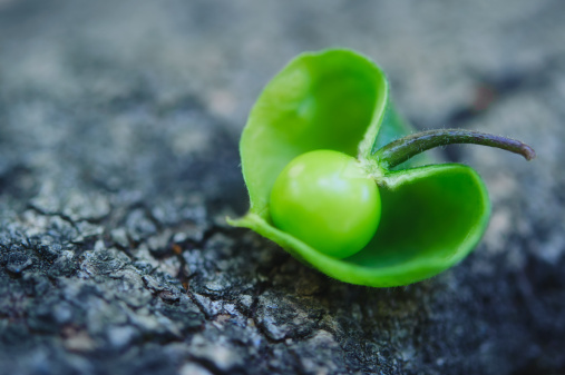 「闹时炼心，静时养心，坐时守心，行时验心，言时省心，动时制心。」《格言联璧》