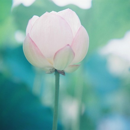 「自己做事，切须不可迂滞，不可反覆，不可琐碎。代人做事，极要耐得迂滞，耐得反覆，耐得琐碎。」《格言联璧》