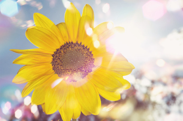 「佛法者，心法也。此之心法，人人本具，个个不无。是力敦伦常之法。是智信，非迷信；是救世，非厌世；是兼善，非独善。历代王臣伟人智士之奉行修持广为流通者，以其能穷究宇宙真理，能解决人生因由，能改革社会习尚，能巩固国家基础，能普了诸法原委故也！」辑录《印光法师文钞》·宜兴佛教净业社缘起