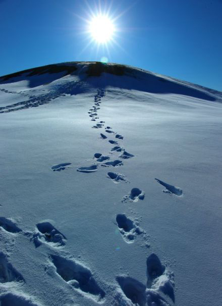 「天下无不可化之人，但恐诚心未至。天下无不可为之事，只怕立志不坚。」《格言联璧》
