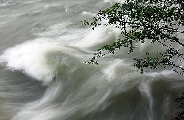 「今之天灾人祸，相继而作者，皆因理学家破斥因果报应、生死轮回。俾上焉者无所勉，而懈于为善；下焉者无所畏，而敢于作恶。相沿已久，殆将决裂。及欧风一吹，则人道将几乎息矣！学说之贻误，有如此者，可不畏哉？」辑录《印光法师文钞》·慧济居阅经室缘起