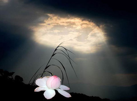 「凡修净业者，第一必须严持净戒(诸恶莫作，众善奉行)，第二必须发菩提心(自利利他，愿度众生)，第三必须具真信愿。(信，则信我此世界是苦，信极乐世界是乐。......愿，则愿速出离此苦世界，愿速往生彼乐世界。)」辑自《印光法师文钞续编》·净土指要