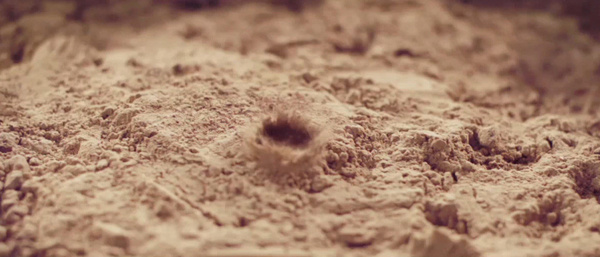 「常当一心，勤求出道。一切世间动不动法，皆是败坏不安之相。汝等且止，勿得复语。时将欲过，我欲灭度。是我最后之所教诲。」辑录·《佛遗教经》