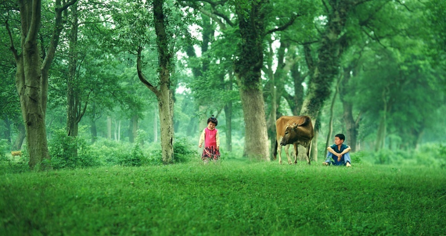 「有人问我念佛要怎么念，我念佛并没有什么特殊的功夫，但是有一点可以提供给大家作参考。念佛的时候，全身要放轻松，每一个关节都要放得很柔软，不需要紧张。因为念佛也不是要参加拳击比赛，根本不必紧张用力。」辑录·道证法师开示