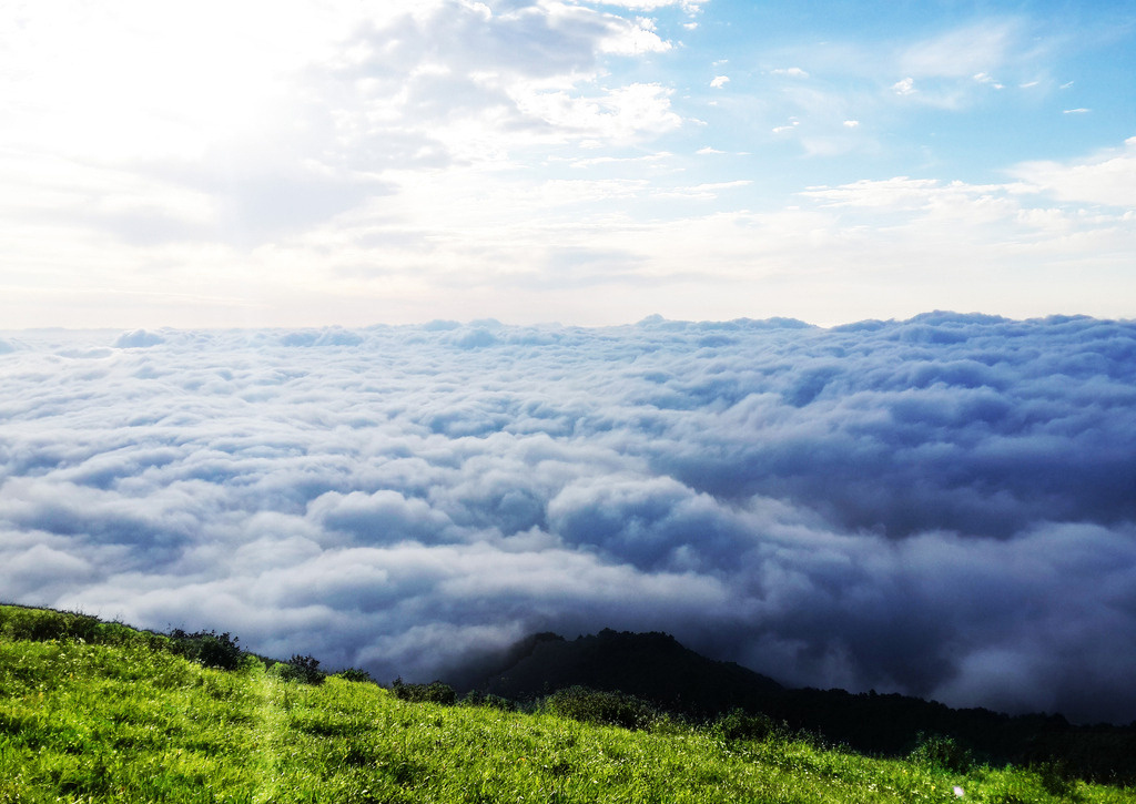 「我们知道冰块和云一样都是由水变成的。但冰块又硬又冷，又很定型，一块一块格格不入，会相碰，会碎掉；云就很柔软，可以遍满虚空，自由发展。念佛的心也是一样，如果像冰块，一块一块，就和佛格格不入；如果像云彩，行在青天，到处流通，就容易和无量光明、无量寿相应。」辑录·道证法师开示